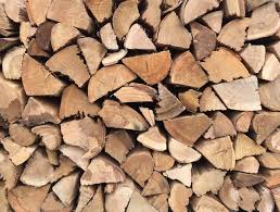 Blue gum aka bloekom