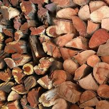 Port Jackson aka Acacia